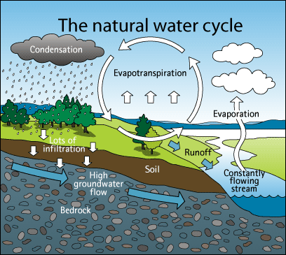 Infographic of the natural water cycle