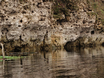 Karst at water’s edge