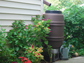 Rain Barrel