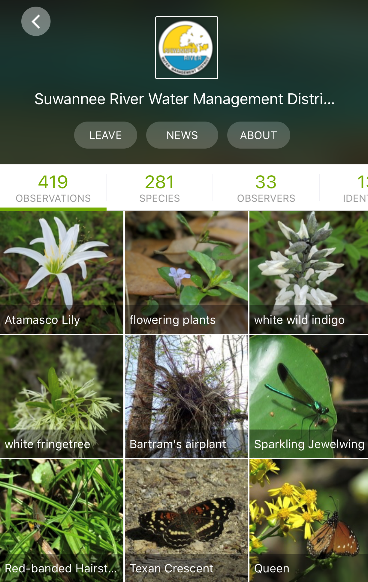 Screenshot of iNaturalist app