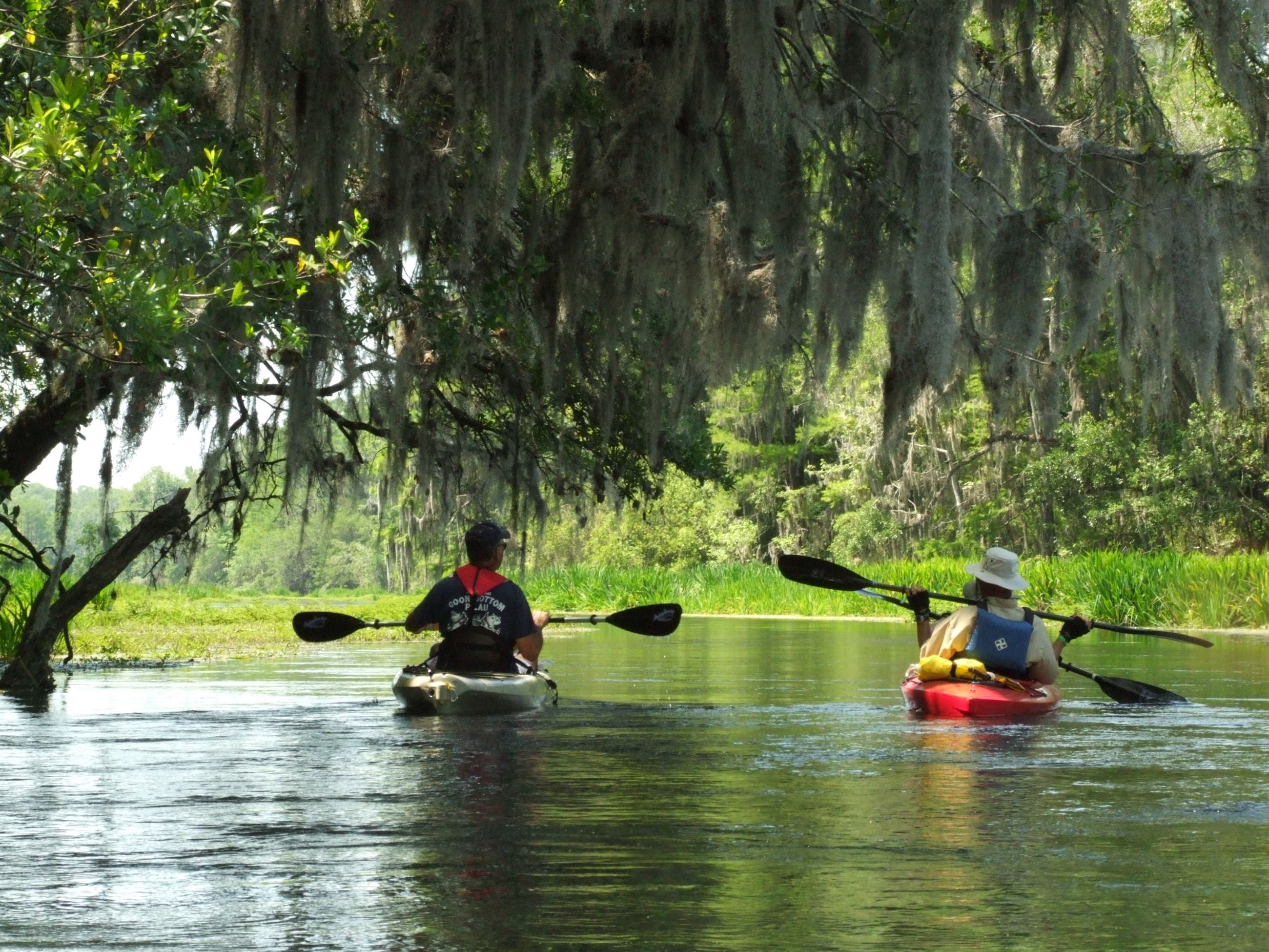 Kayakers paddling a river shaded by trees