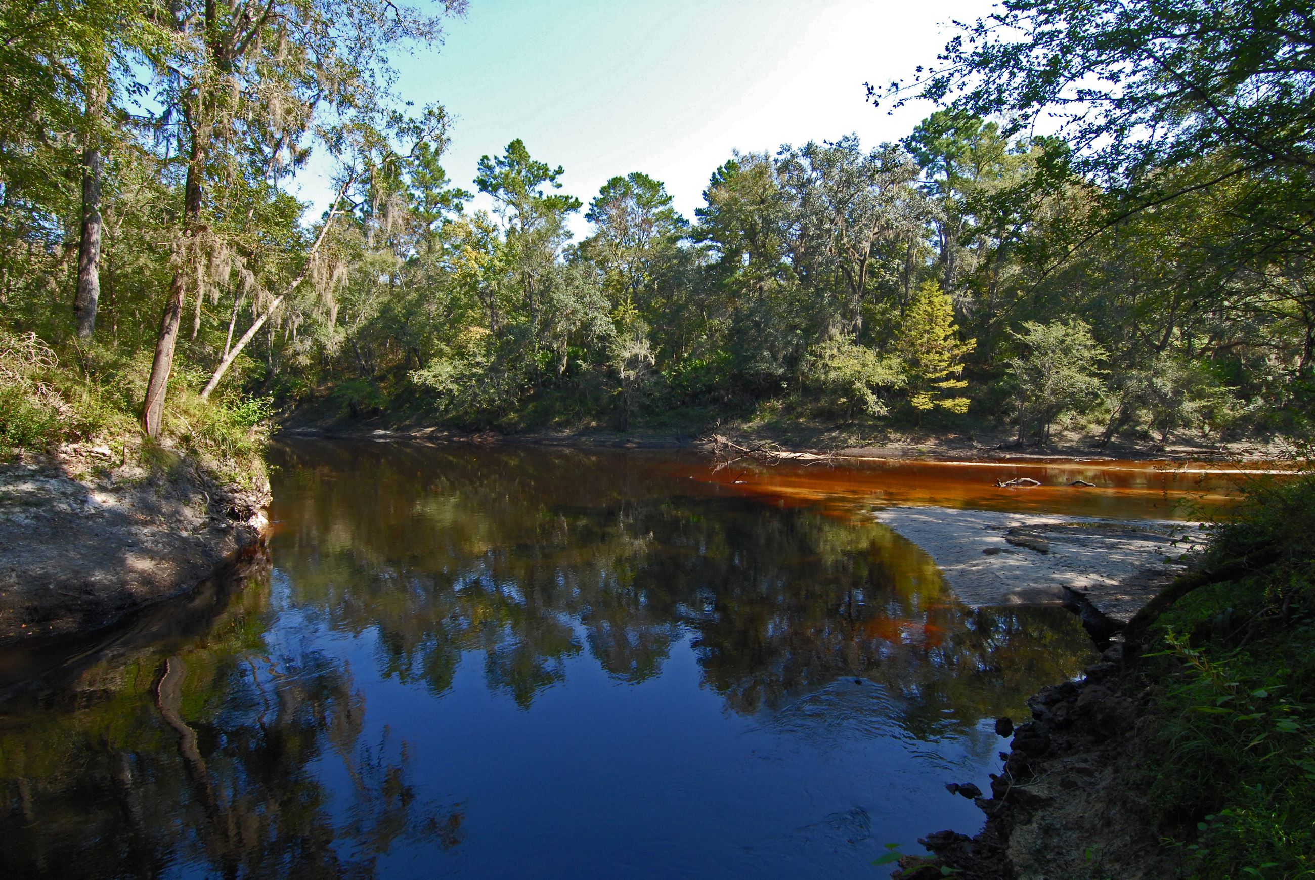 A dark brown river with a small sand bar and vegetation on the banks