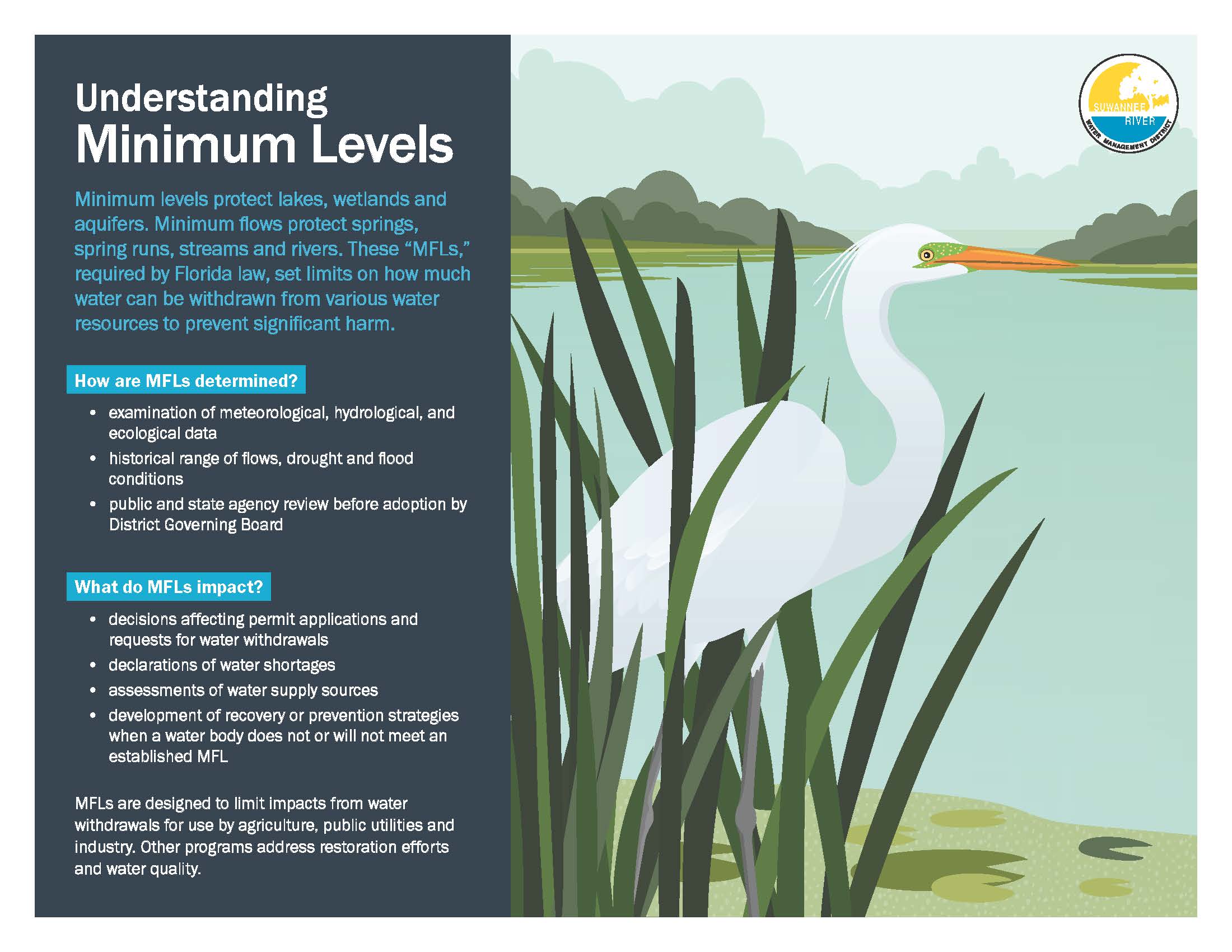 MFL Levels 1 Opens in new window